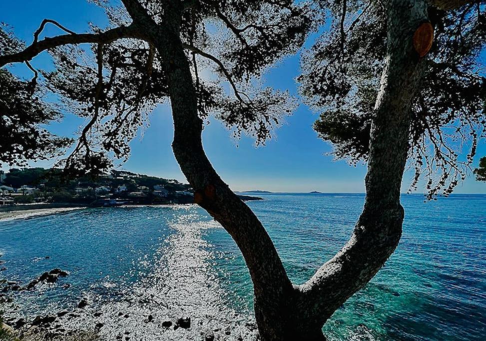 Escapade Au Coeur De Sanary Apartment Екстериор снимка