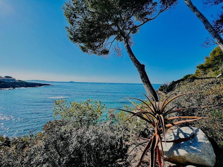 Escapade Au Coeur De Sanary Apartment Екстериор снимка